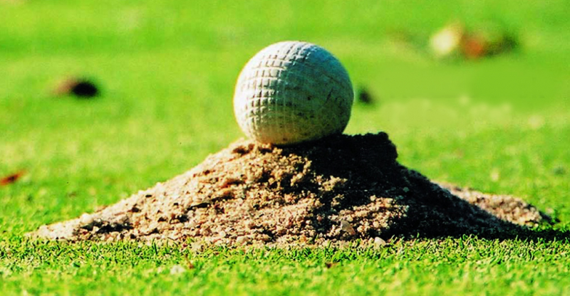 Những sự thật thú vị về bộ môn golf